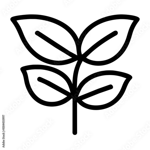 basil nature