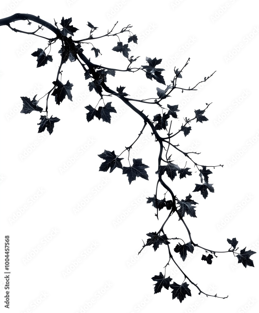 Naklejka premium Dramatic Black Branch Silhouette on White Background - Minimalist Nature Design Perfect for Abstract Art, Natural Patterns, and Organic Decorations