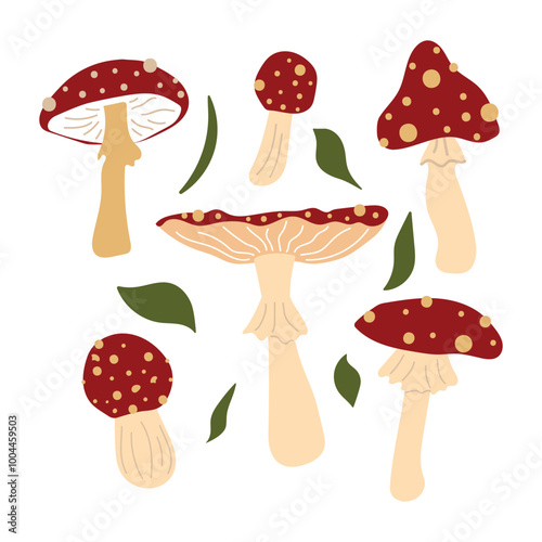 Flat hand drawn illustration of fly agaric, mushrooms