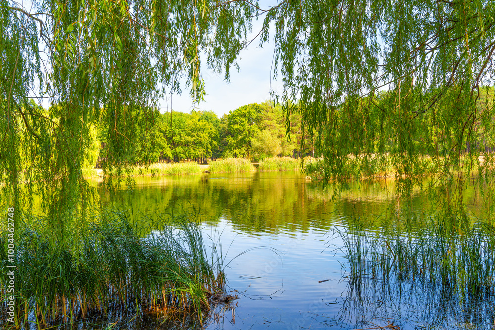 Serene Lake View Surrounded by Lush Greenery Serene Lake View Surrounded by Lush Greenery