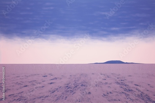 Blue lavender field landscape outdoors horizon.