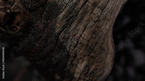 A close-up shot of a gnarled and weathered piece of wood with deep cracks and rough surface. The natural aging of the wood emphasizes its unique, organic texture against a dark background.
