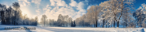 Sunny winter landscape with snow covered trees, panorama banner or background, frozen border frame