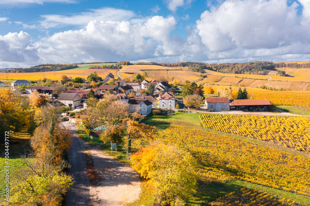 Burgundy, vineyards, landscape and village in autumn.
