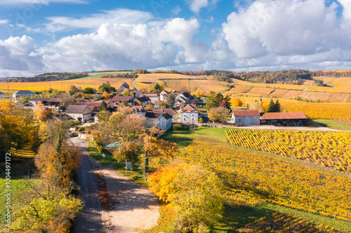 Burgundy, vineyards, landscape and village in autumn.  photo