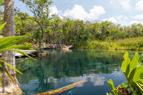 cenote paradise water hole in tulum mexico