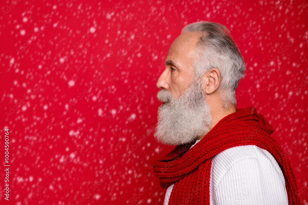 Close-up profile side view portrait of his he nice attractive well-groomed trendy calm peaceful gray-haired man copy space isolated over bright vivid shine red background Close-up profile side view portrait of his he nice attractive well-groomed trendy calm peaceful gray-haired man copy space isolated over bright vivid shine red background