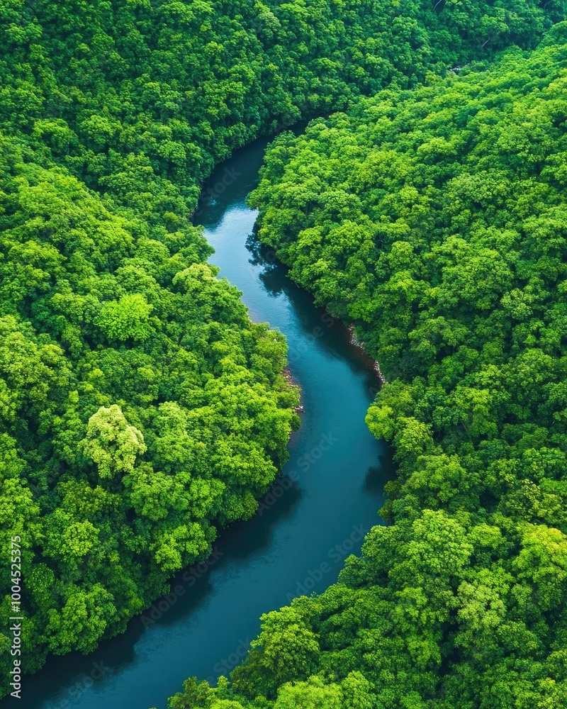 Breathtaking aerial view of a serene river winding through lush green forest, showcasing nature's beauty and tranquility. Breathtaking aerial view of a serene river winding through lush green forest, showcasing nature's beauty and tranquility.