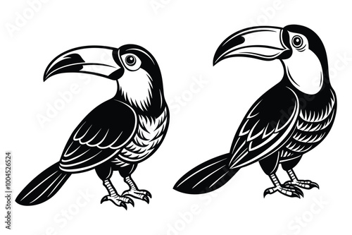 This is toucan bird vector illustration design black and white 