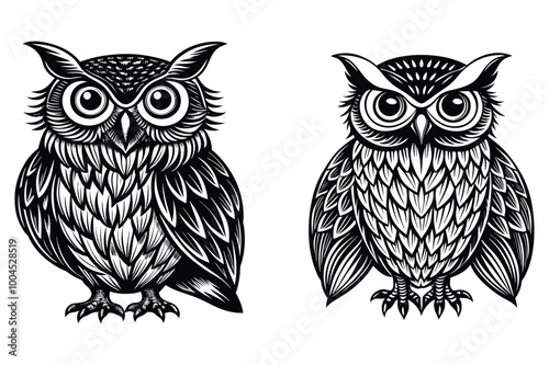 This is owl vector design illustration