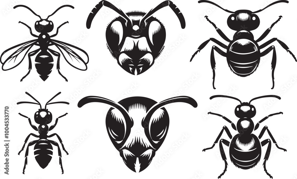 Obraz premium Silhouettes of ants.