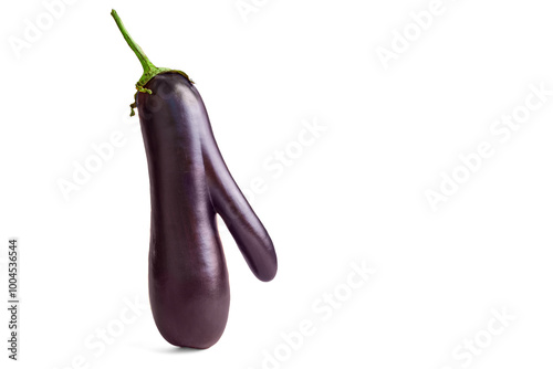 Unique Eggplant on White Background