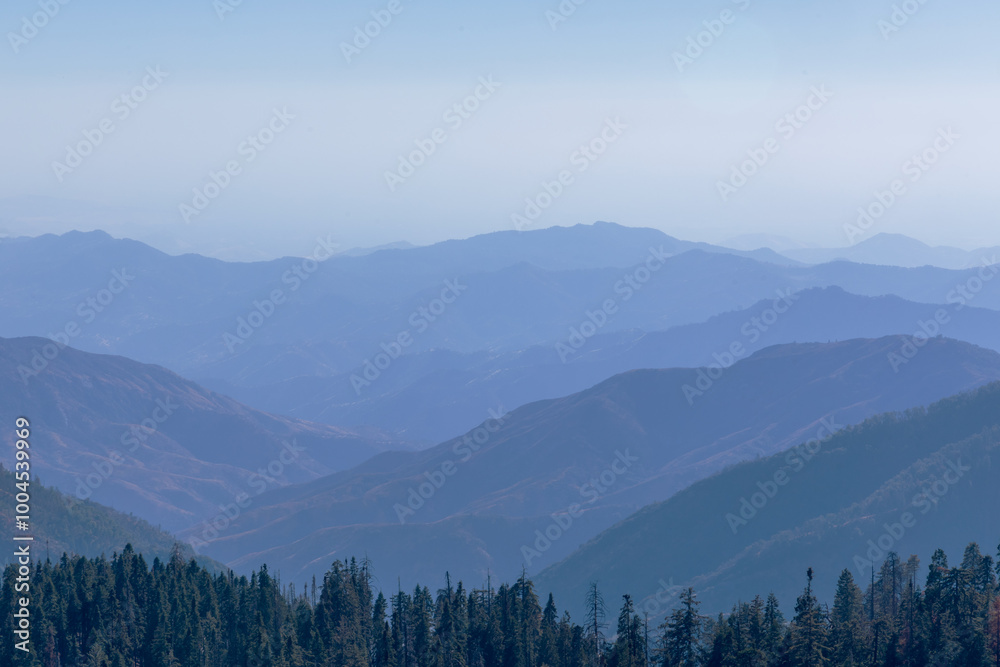 Naklejka premium Foggy Mountains Landscape in Kings Canyon and Sequoia National Park, California.