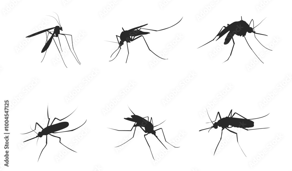 Mosquito icon vector insert mosquito flat illustration icon .vector Mosquito icon vector insert mosquito flat illustration icon .vector