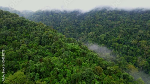 Aerial view of the lush green forest of the Doi Phu Kha National Park, Thailand photo