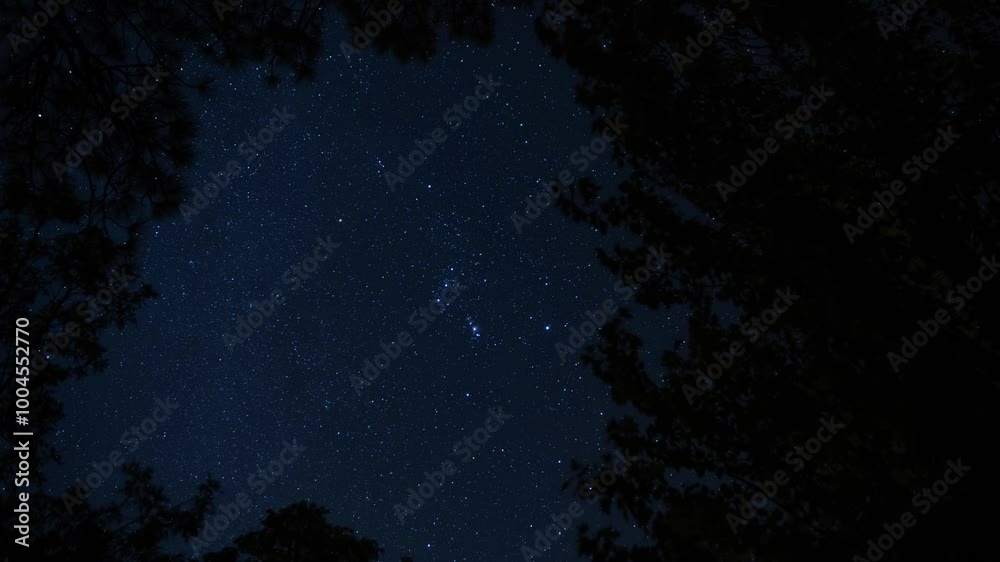 Time lapse of the constellation of Orion above the trees Time lapse of the constellation of Orion above the trees