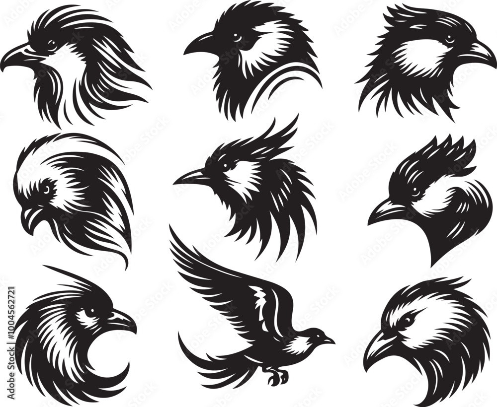 Fototapeta premium set of a bird silhouette vector image. birds illustration
