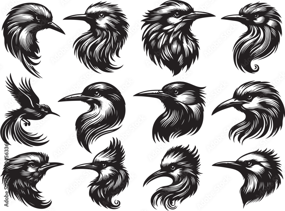 set of a bird silhouette vector image. birds illustration set of a bird silhouette vector image. birds illustration