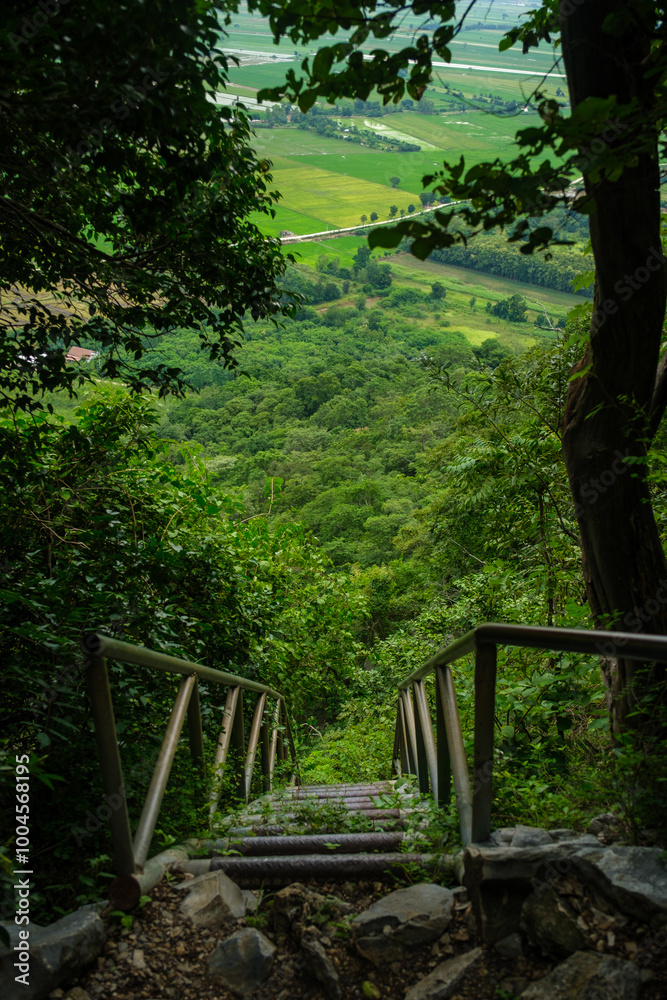 Wooden stairs leading down into a lush valley.,Khao Nor - Khao Kheaw , Nakornsawan, thailand Wooden stairs leading down into a lush valley.,Khao Nor - Khao Kheaw , Nakornsawan, thailand