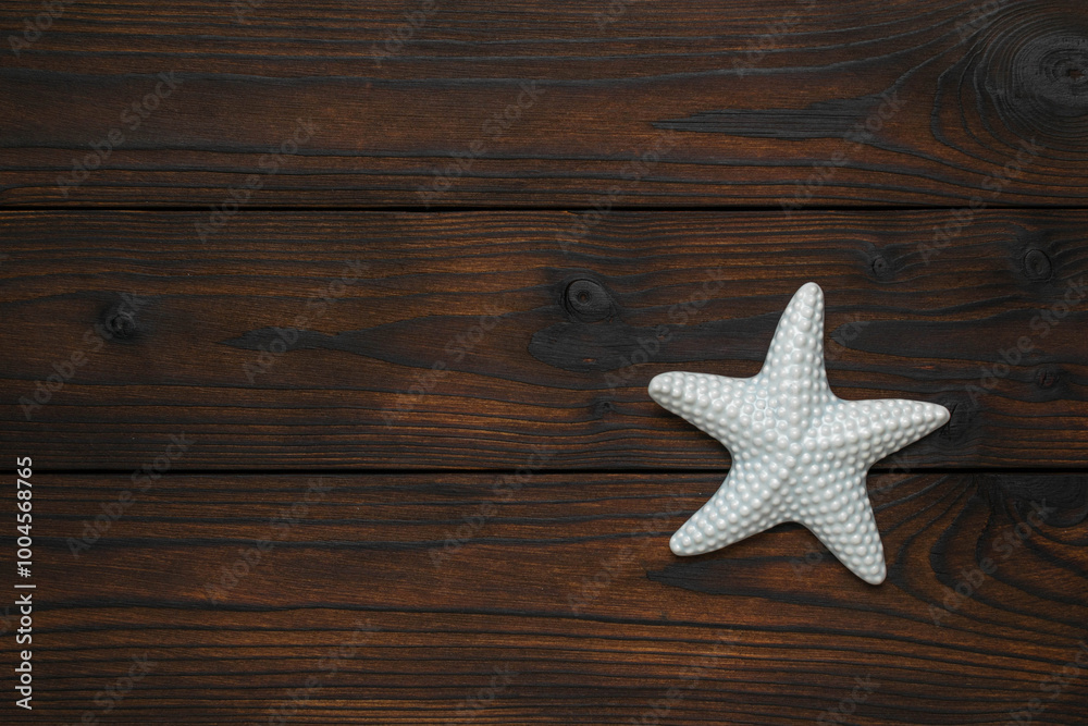 White Starfish on Dark Wooden Background: Minimalist Marine Decor White Starfish on Dark Wooden Background: Minimalist Marine Decor