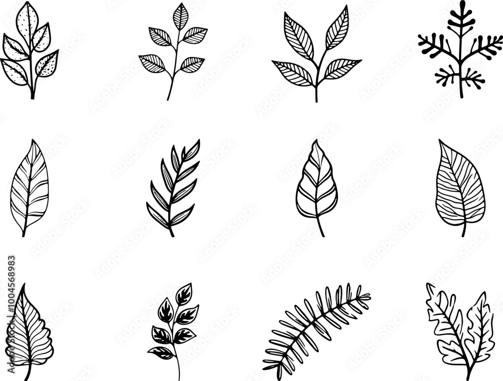 Fototapeta premium Hand Drawn Leaves Illustrations