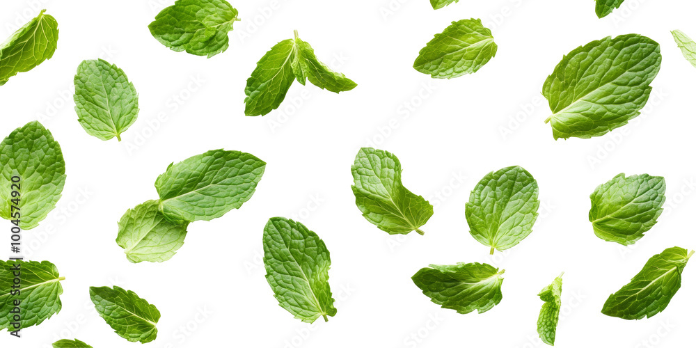 A Striking and Elegant Representation of Mint Leaves Cascading Down Against a Plain White Backdrop A Striking and Elegant Representation of Mint Leaves Cascading Down Against a Plain White Backdrop