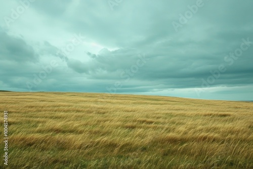 Empty scene of windy field landscape grassland outdoors.