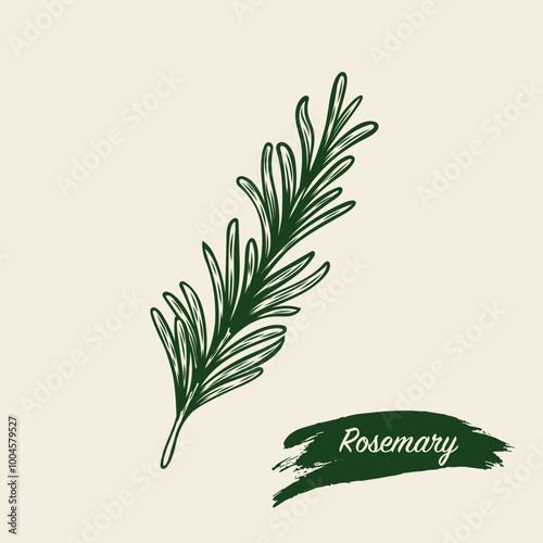 Sketch drawing of a rosemary branch