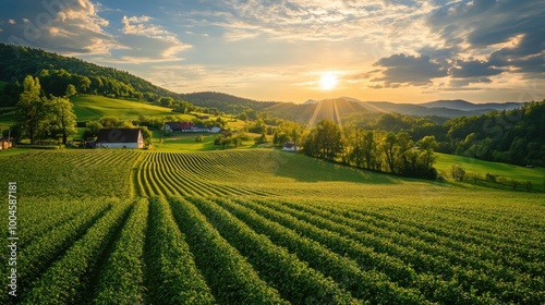 Picturesque sunset over farm fields. Ideal for illustrating agricultural themes, promoting rural life, or showcasing scenic beauty.