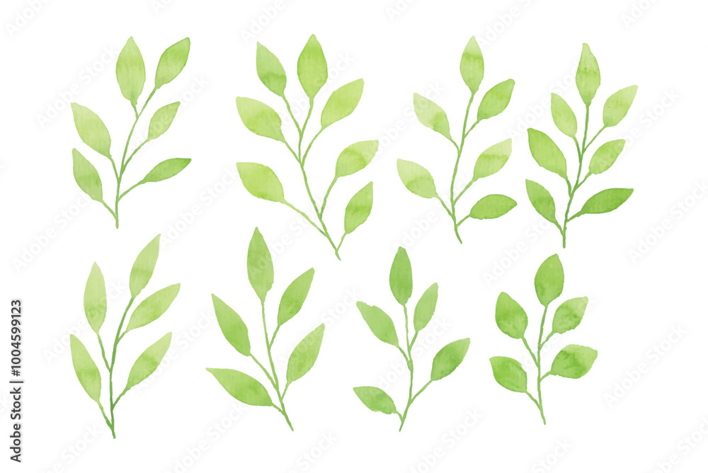 custom made wallpaper toronto digitalAssortment of watercolor leaves illustration set - green leaf branches collection for wedding, greetings, stationary, wallpapers, fashion, background. olive, green leaves, Eucalyptus etc