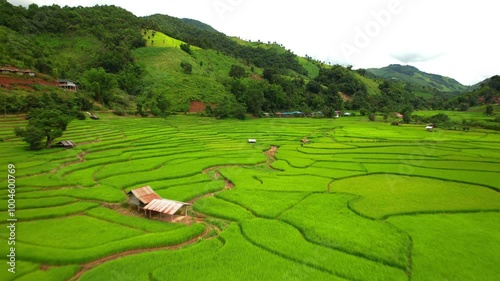 Aerial shot of the ricefield area and village of Muang Kong under a stormy dramatic sky, Thailand