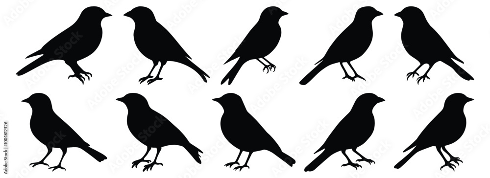 Fototapeta premium Bird silhouette set vector design big pack of animal illustration and icon