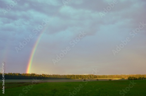 nature rainbow over the forest