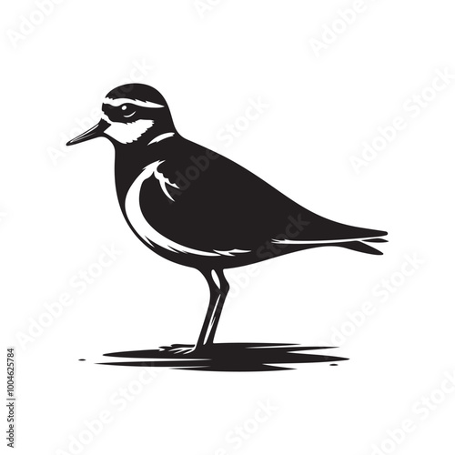 Minimalist Plovers Silhouette Vector Art – Wildlife Design Collection