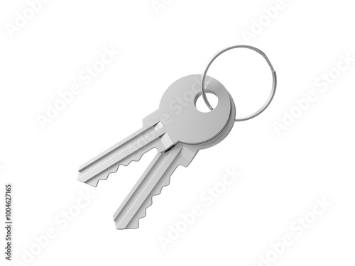 Keys. Isolated. 3d illustration.