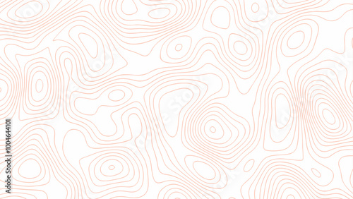 Black on white contours vector topography stylized height of the lines.