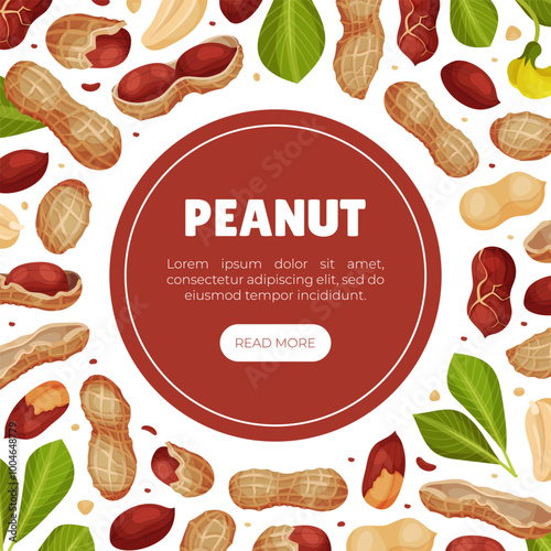 Peanut Natural Banner Design with Kernel Shell Vector Template