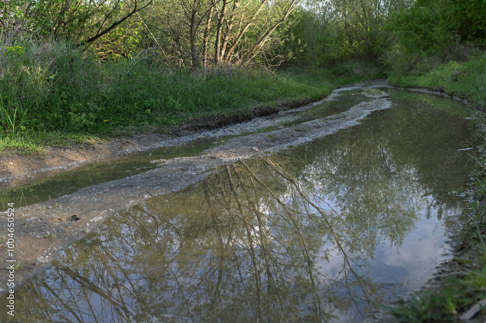 Puddles on a dirt road after a flood Puddles on a dirt road after a flood