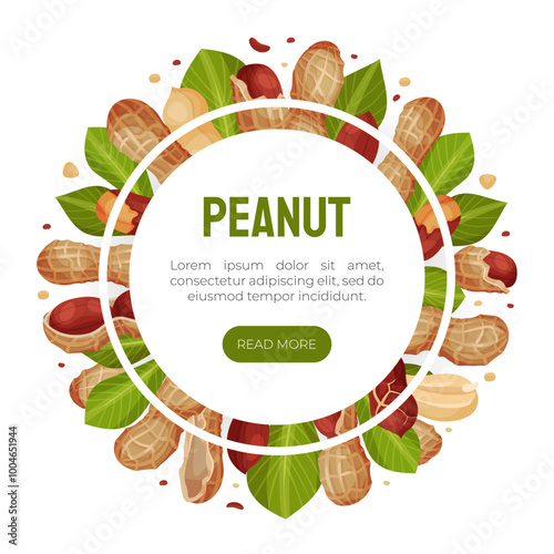 Peanut Natural Banner Design with Kernel Shell Vector Template