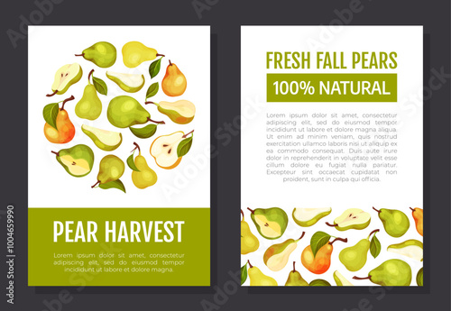 Fresh Pear Fruit Banner Design with Garden Crop Vector Template