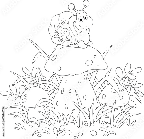 Funny small snail on a larg...