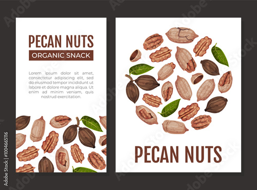 Pecan Nut Banner Design with Kernel and Shell Vector Template