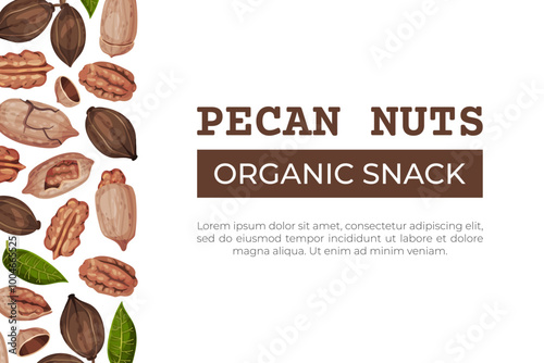 Pecan Nut Banner Design with Kernel and Shell Vector Template