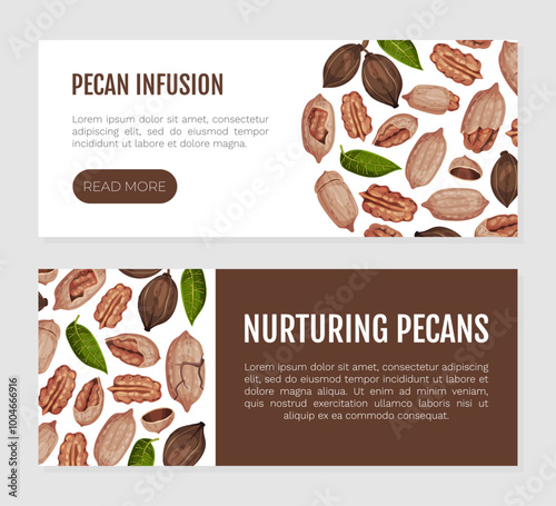 Pecan Nut Banner Design with Kernel and Shell Vector Template