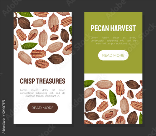 Pecan Nut Banner Design with Kernel and Shell Vector Template