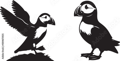 Seagull vector silhouette image