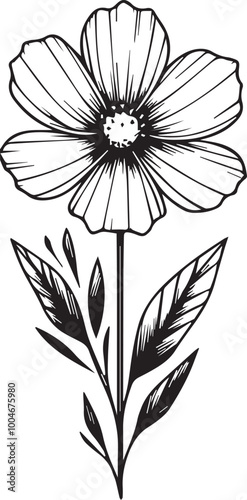 Cosmos coloring book hand drew botanical spring elements bouquet of cosmos flower line art, coloring page, vector sketch, artistic simplicity doodle art, Easy yellow cosmos flower drawing