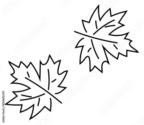 leaf, icon, fall leaf solid black icon. vector illustration isolated on white or transparent background, hand drawn logo element. print vector symbol.	