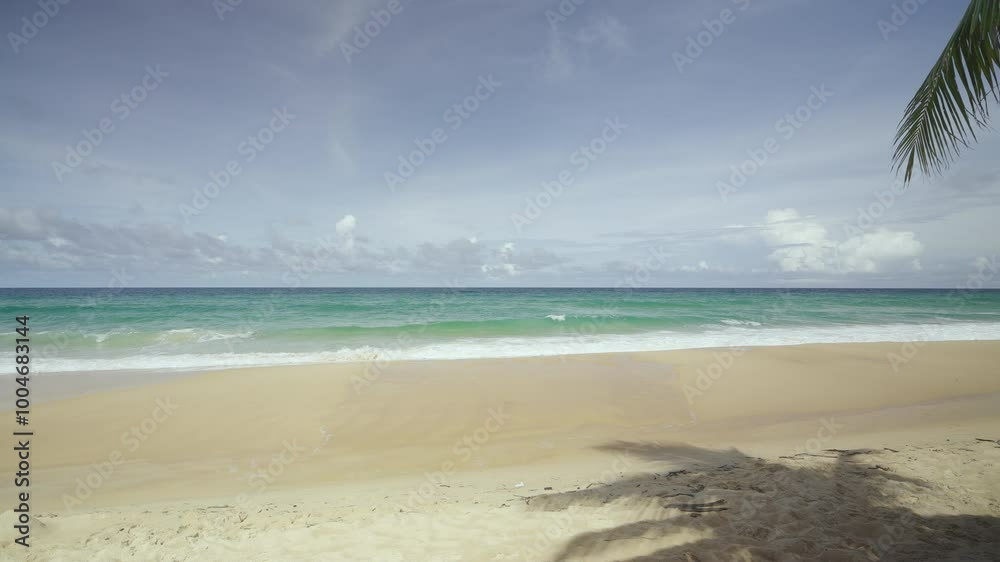 beach with palm trees and sea landscape. tropical empty beach calm wave sunshine morning wide angle shot copy space. beach with palm trees and sea landscape. tropical empty beach calm wave sunshine morning wide angle shot copy space.