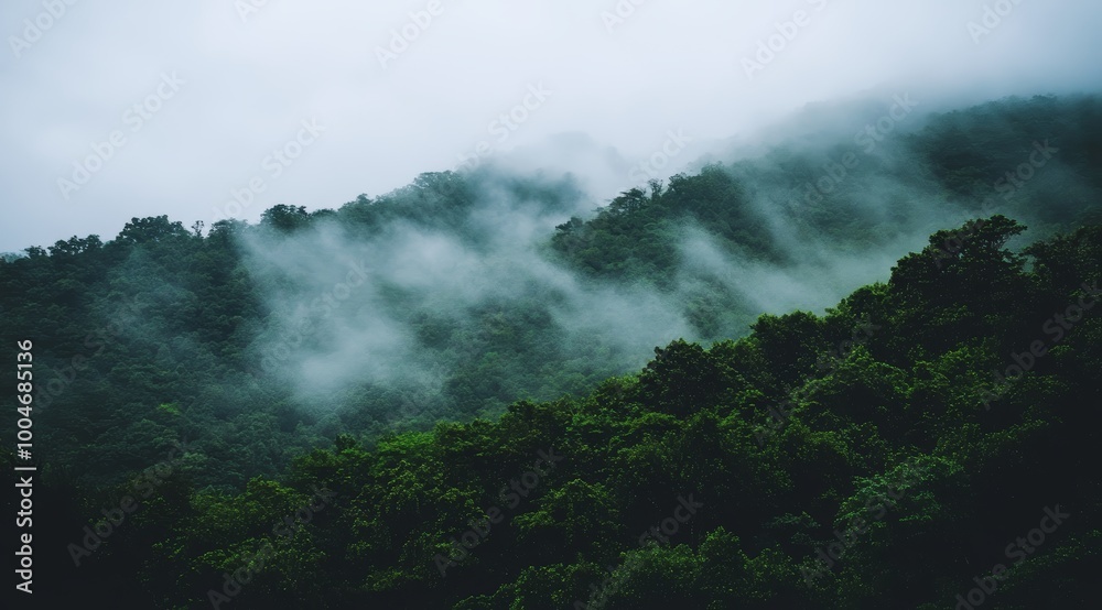 Fototapeta premium Misty fog drifts through dense greenery, creating a tranquil atmosphere in the mountains at dawn